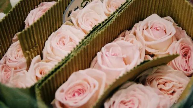 淘宝情人节,淘宝情人节卖什么产品最火