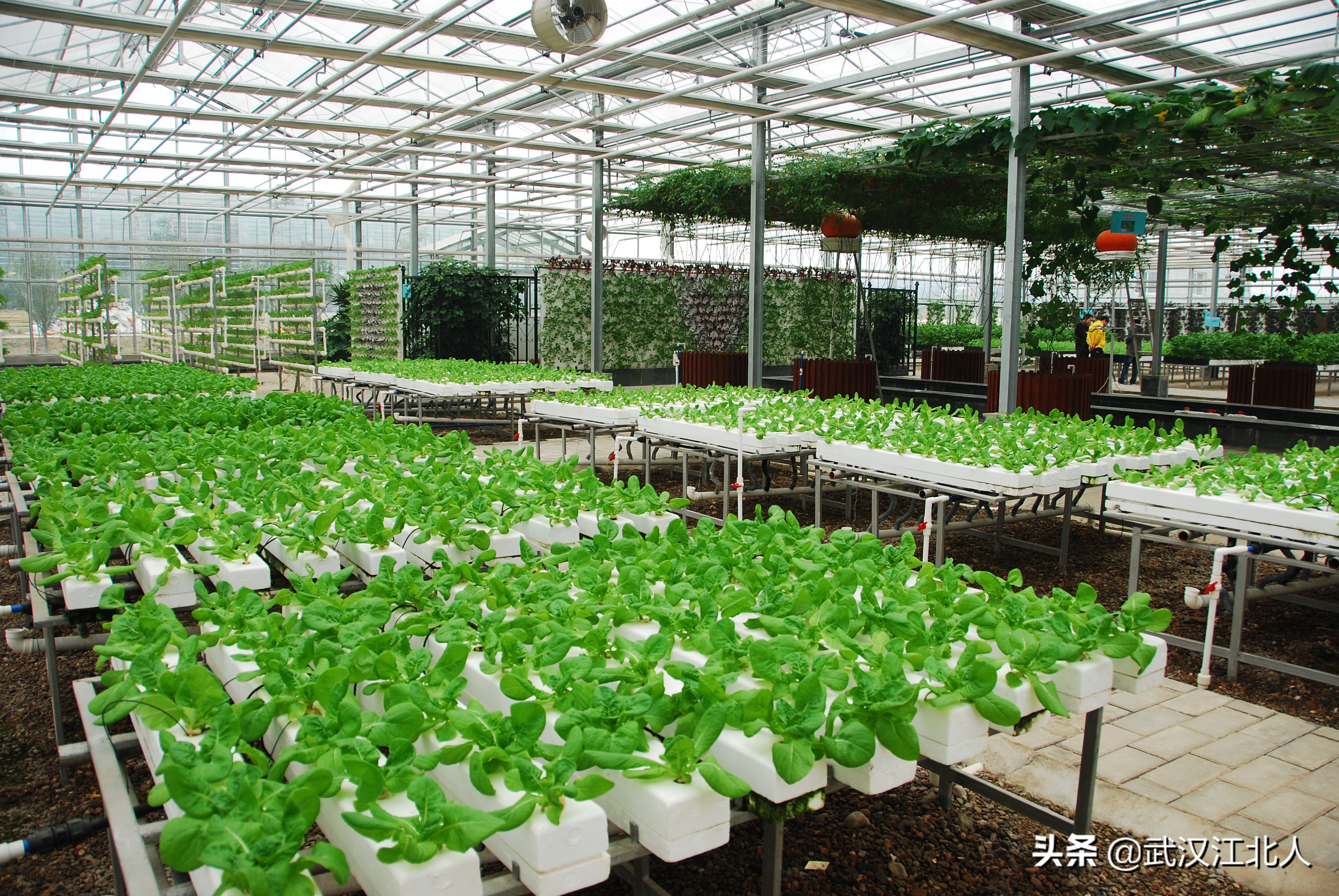 长江新区武湖的位置好吗,黄陂产业新城最新规划