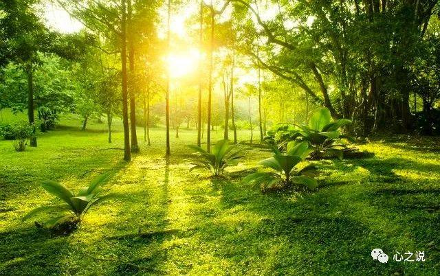 散文雨的作品,雨景散文随笔