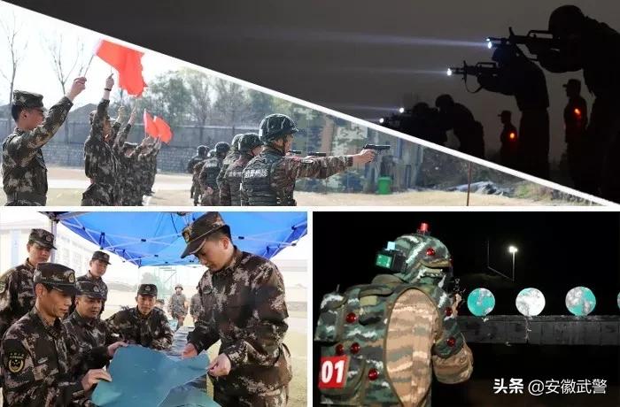 纪实视频,记实记录