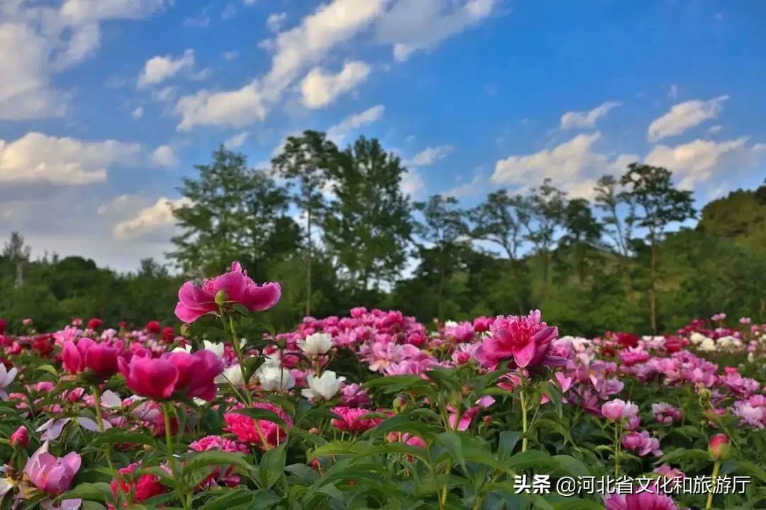 爱家乡爱保定,爱家乡游邯郸