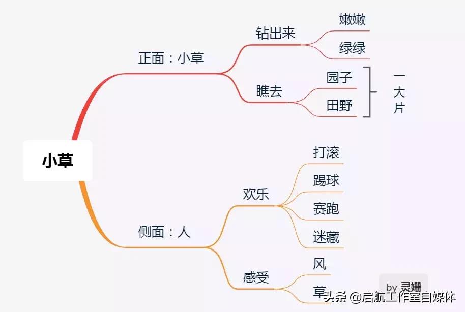 如何利用你的大脑思维导图,大脑思维导图详细讲解