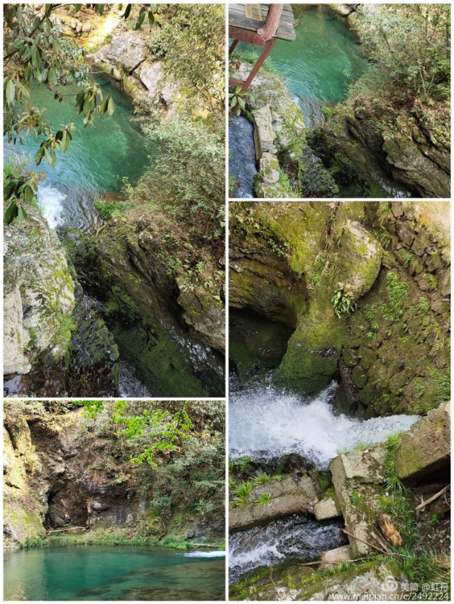 方虹松江,方虹安徽