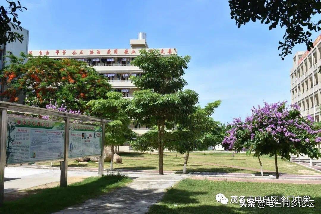 这8所学校再添省级称号,电白三中奖状