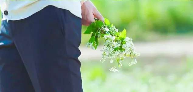 区分双性恋和直男,怎么区分双性恋和直男