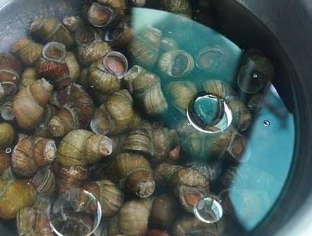 炒田螺时候，总是洗不干净？学会这一招，螺肉鲜嫩没有沙！