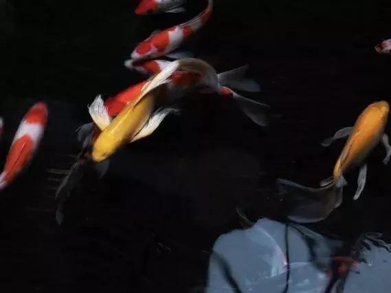 耗时一年耗费百万窑洞别墅,投入800万打造网红民宿