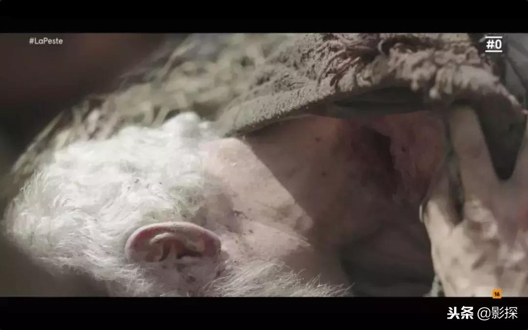 节操撕裂……我宣布,年度硬盘之王诞生了!