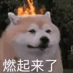 cpu最高睿频是不是要超频才能达到,cpu睿频超频区别