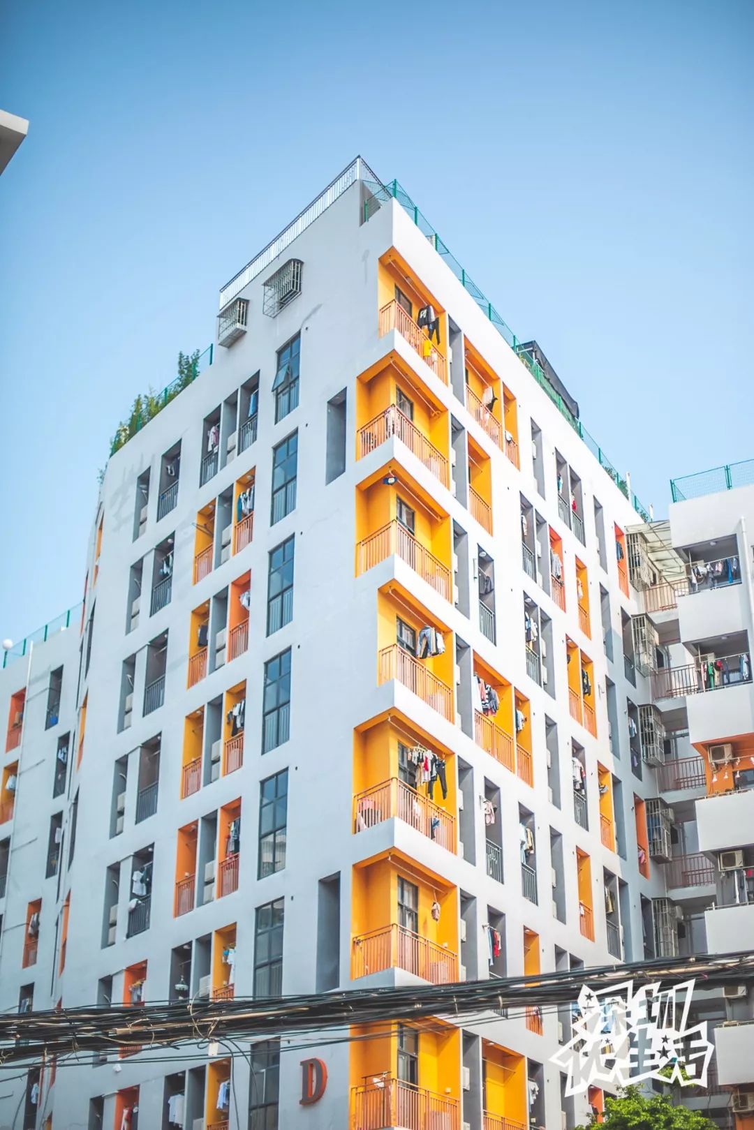 固戍深圳,固戍人在深圳