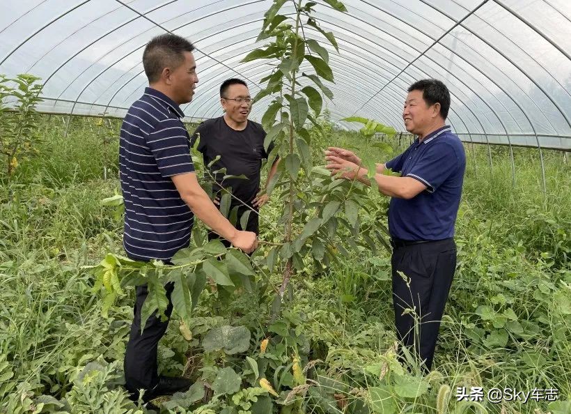 7天3000公里,宝马x57000公里发现烧机油