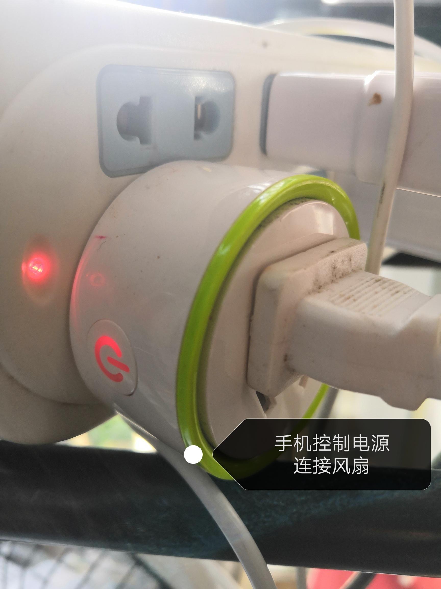 遛狗大爷传授养狗实用技巧,科学养狗狗攻略