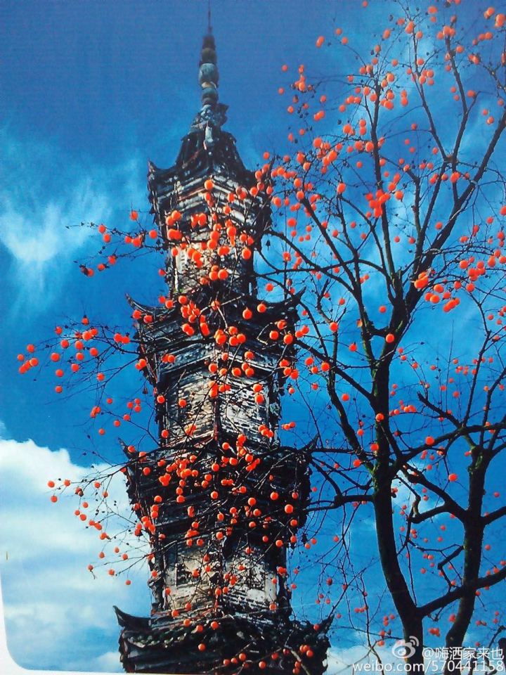 有深意的汉字logo设计,车标汉字logo设计