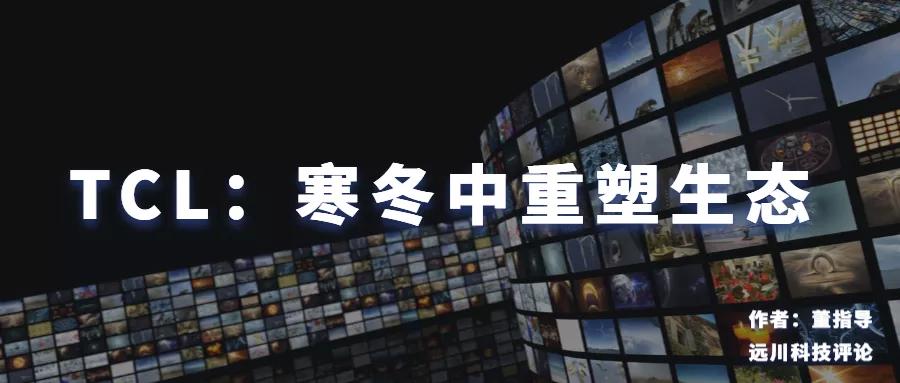 tcl成长史解析,tcl选择哪个型号