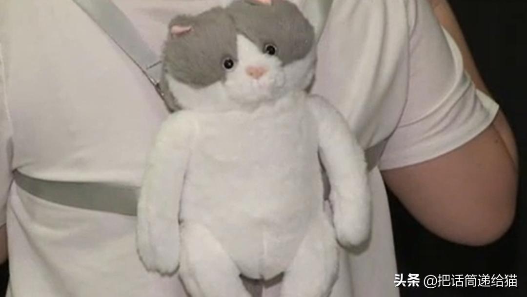 日本网红猫包,日本网红猫咪包