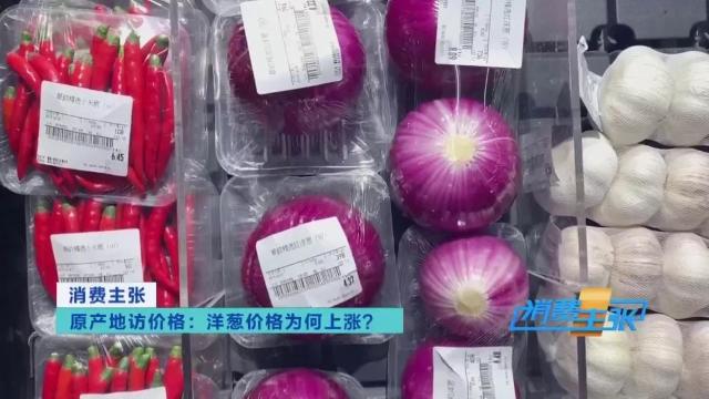 今日全国洋葱最新价格行情新闻,进口洋葱价格表