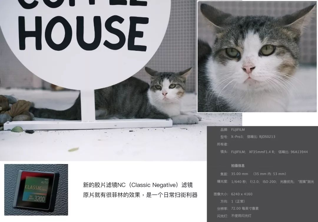 富士相机怎么拍摄色彩浓郁的照片,富士相机有哪些胶片预设