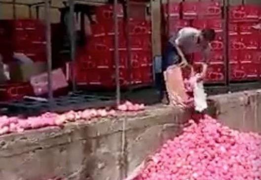 别吹了，不是所有的好产品都出口！中国出口的苹果才是最差的苹果