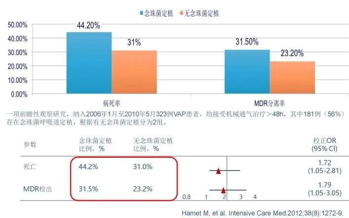 真菌培养及鉴定是阳性严重吗,怎么鉴别肺部真菌感染