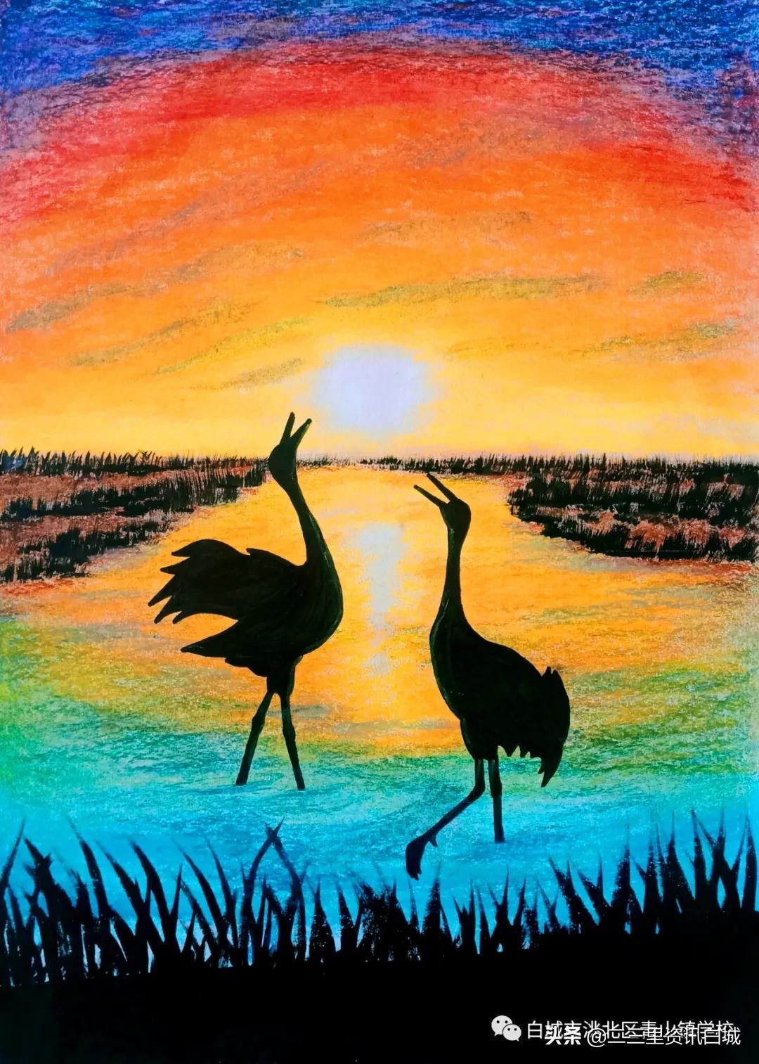 扎根基层奉献青春乡村教师,扎根乡村教育教师视频