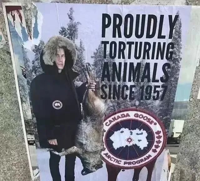 东北大姨冬天穿皮草,东北大姨冬天穿貂