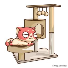 猫咪不怎么睡猫窝怎么办,猫主子不想起床