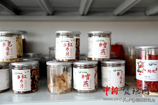 信阳市刘丫丫,河南信阳刘丫丫