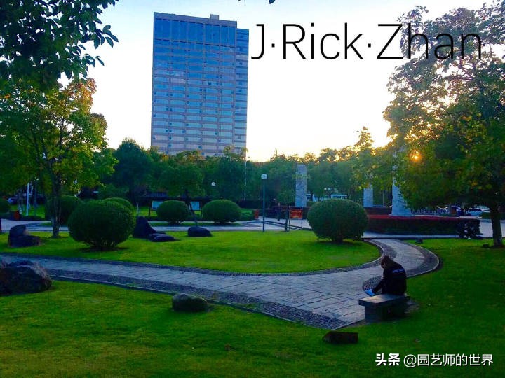 适合北方庭院种植的低矮草坪,家庭庭院怎样混搭种植草坪和蔬菜