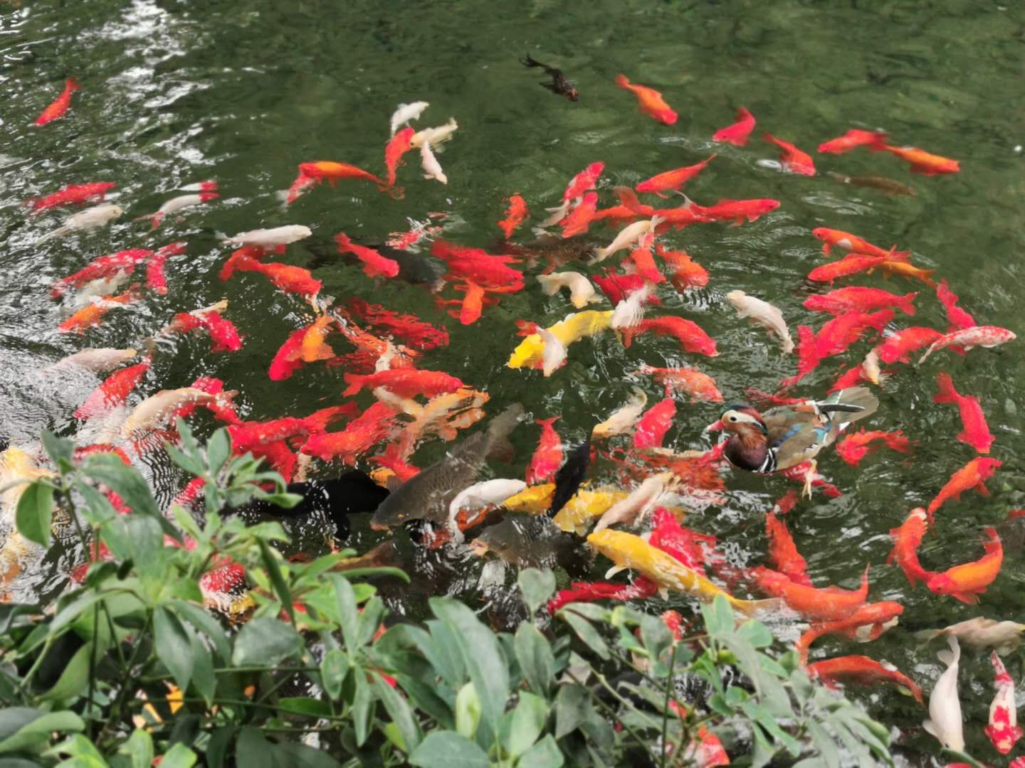 空中花园带儿童乐园,空中花园超大游乐街区