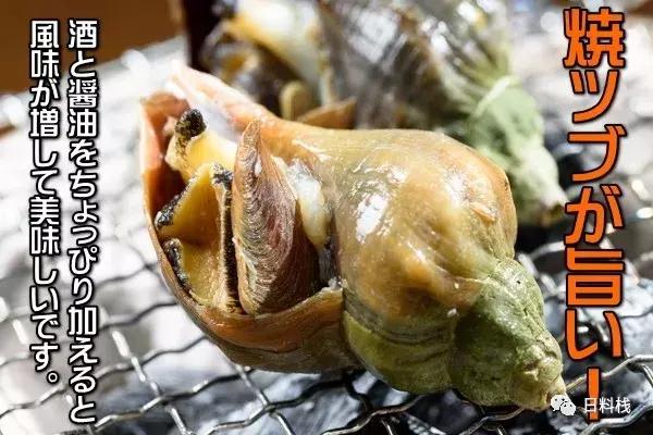 峨螺是什么,厚重峨螺