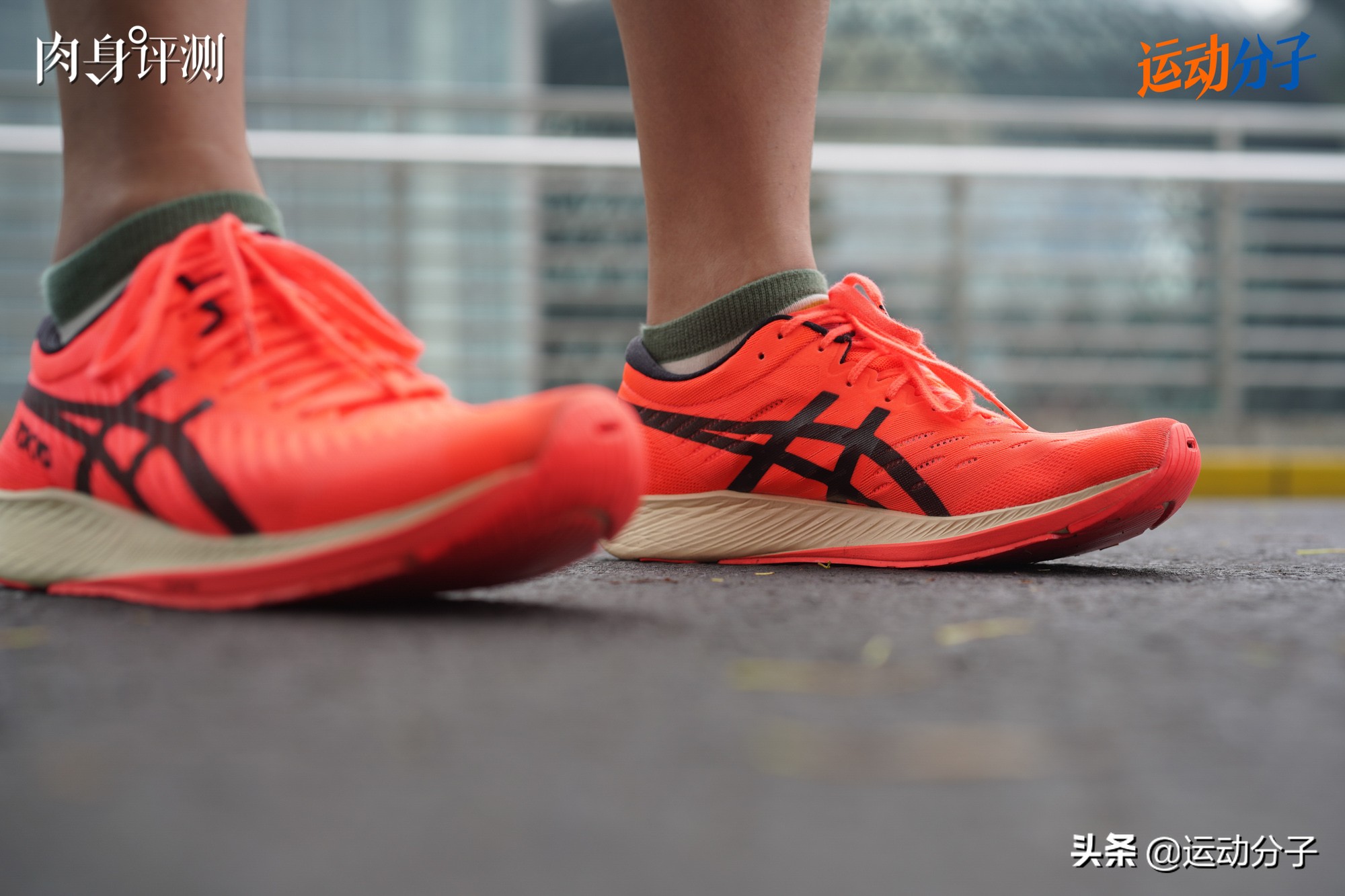 asicsmetaracer适不适合新手,asicsmetaracer有假的吗