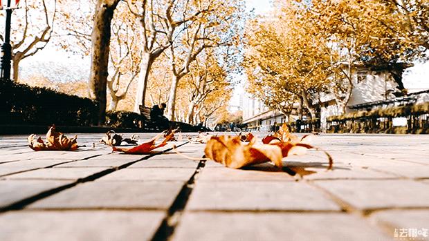 立秋，立秋！这43件事，上海人必须要去做