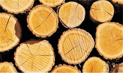 斧头砍不动树木,斧头砍不动