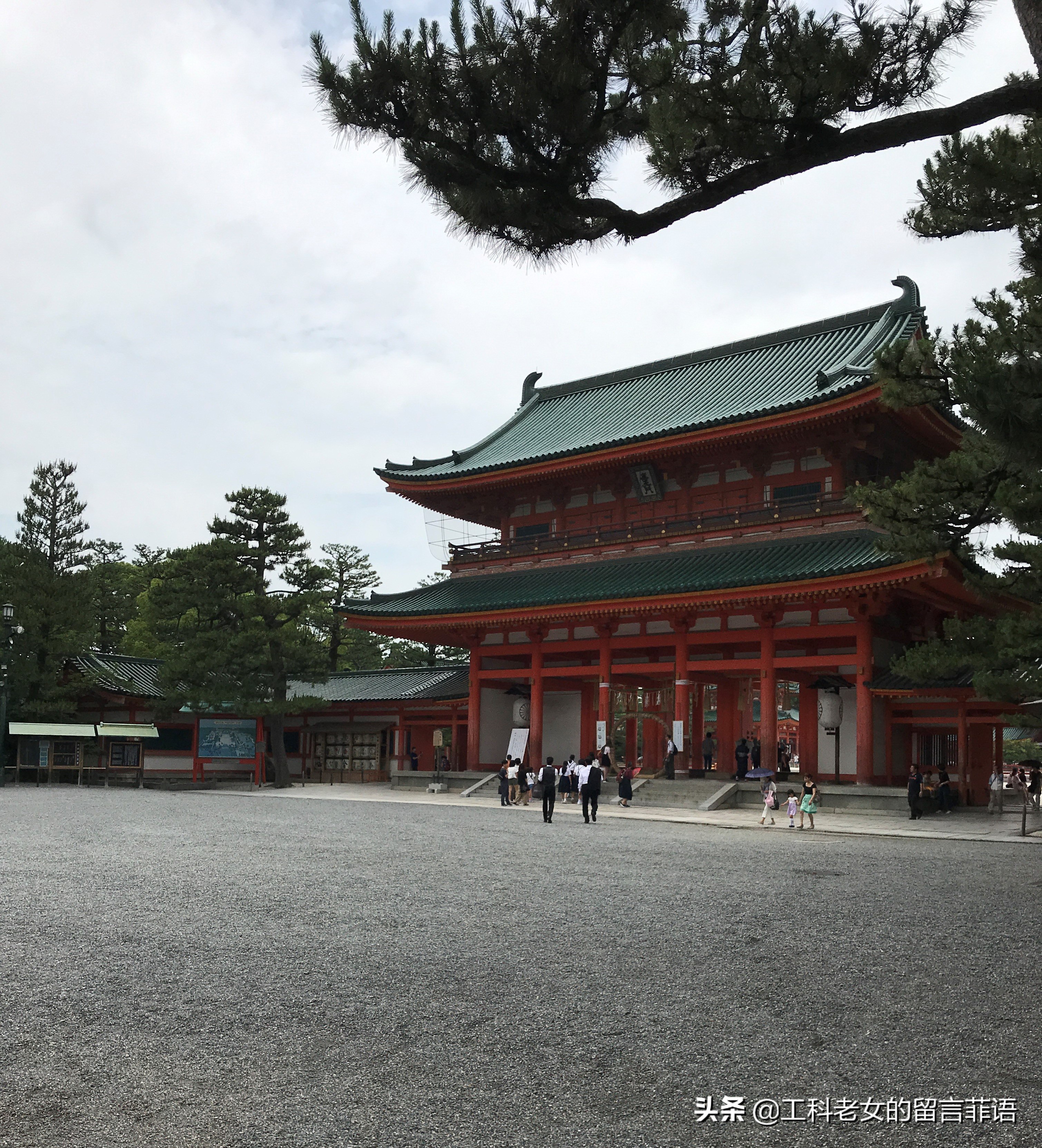 京都之因喜欢这神社的名字就在此卜了一签,却不认字