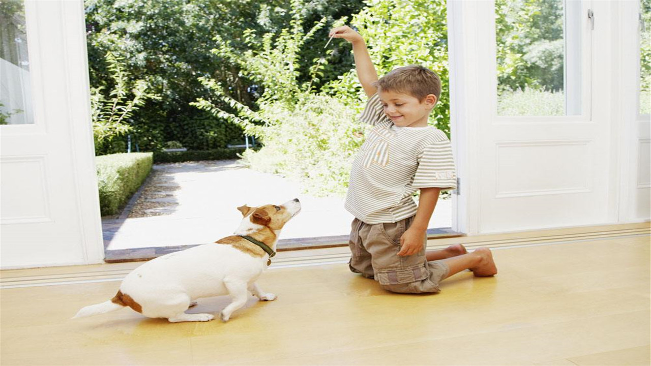 男孩从小“娘娘腔”，父母该接受还是纠正？这里会告诉你答案