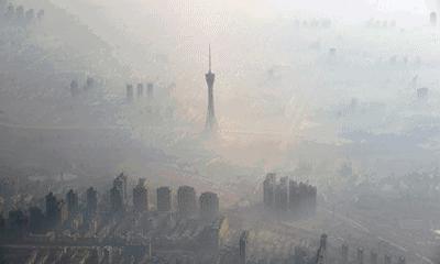 德国十大品牌的空气净化器,大自然的空气净化器