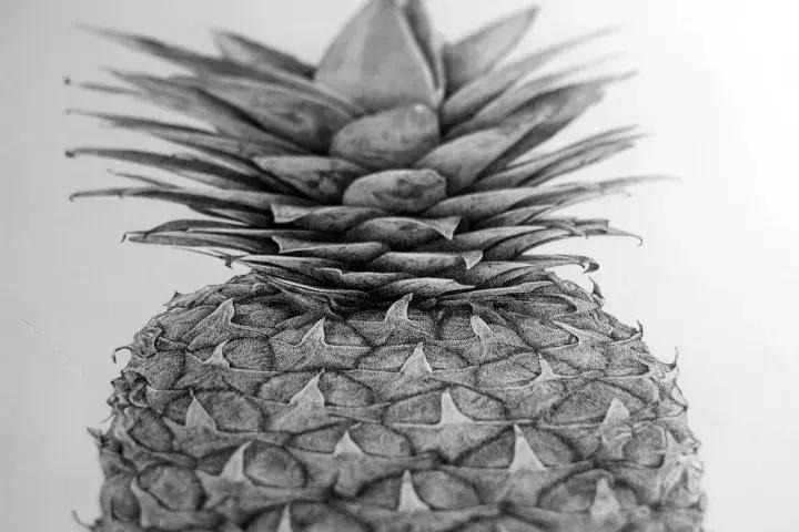 小央美钢笔画视频,极品五大钢笔画简直美爆