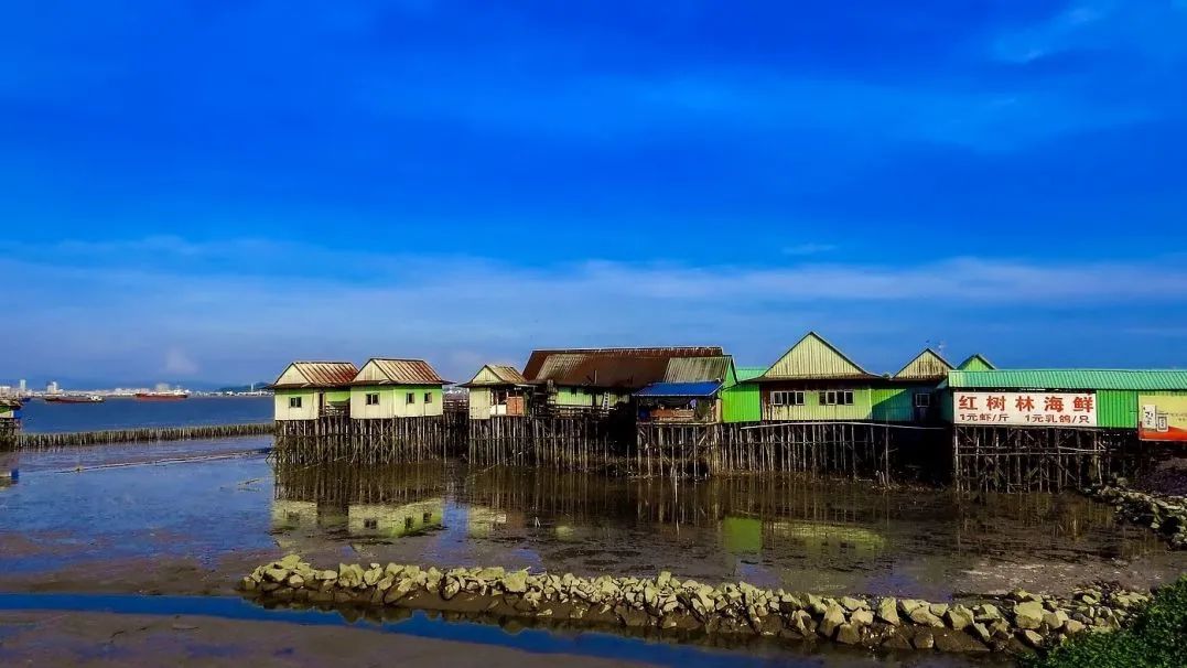 广州凉爽又好玩公园在哪里,夏季广州公园游玩攻略