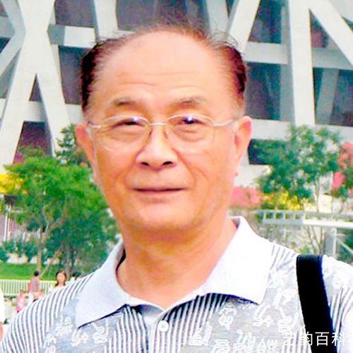 戴延平作品大全,戴延平画家写意画荷花作品欣赏