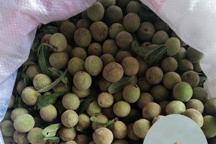 脑纹桃核手串有何寓意,脑纹小桃核手串如何打底