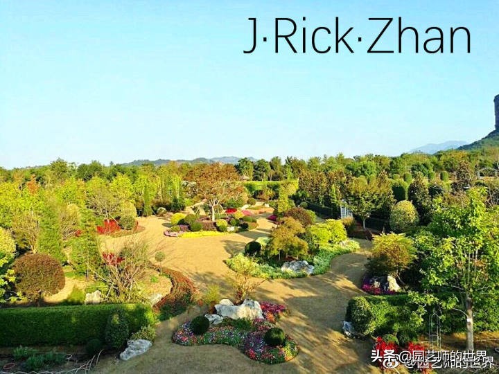 适合北方庭院种植的低矮草坪,家庭庭院怎样混搭种植草坪和蔬菜