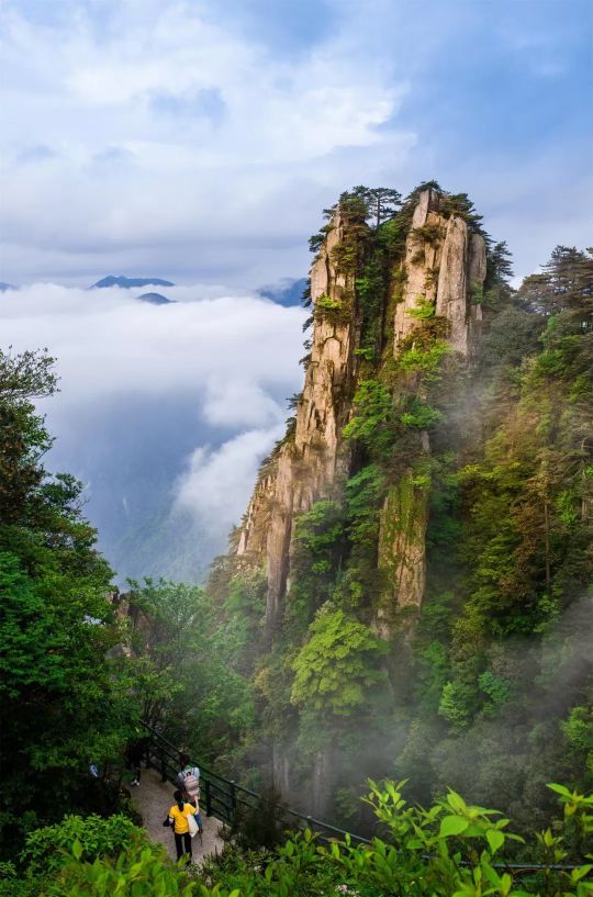 高考古诗词考点句子,高考散文表达技巧类题