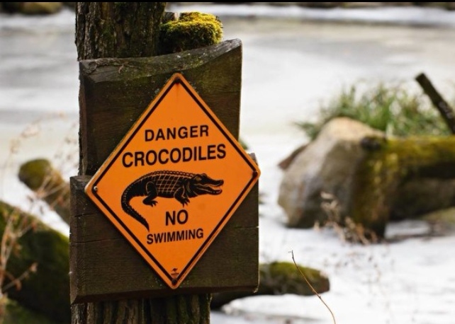 职来职往完整版台词,职来职往求职者谈人格分析