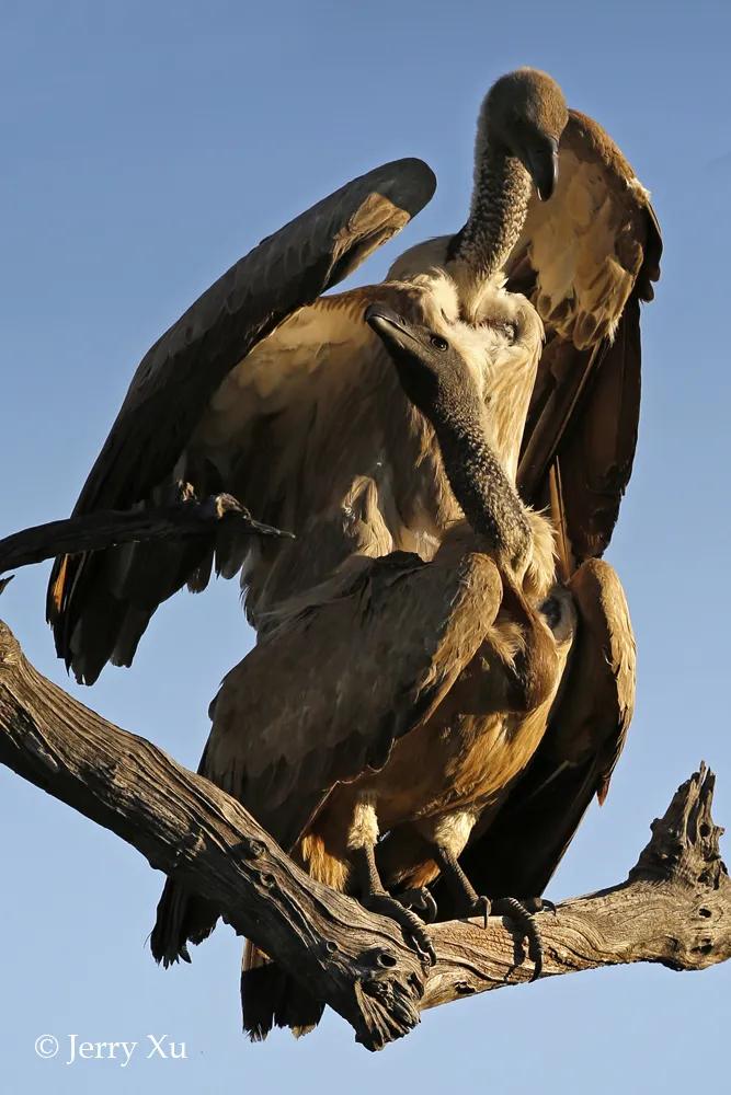 情人节适合干什么事,情人节对方做过最让你感动的事
