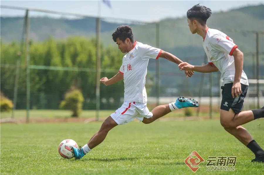 里皮谈韦世豪武磊,武磊祝福视频