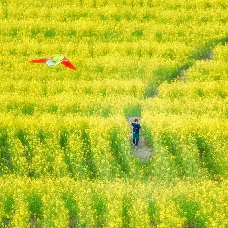 鑻忓窞鐪嬫ū鑺辩殑閰掑簵,鑻忓窞鐪嬫ū鑺变綇鍝釜閰掑簵