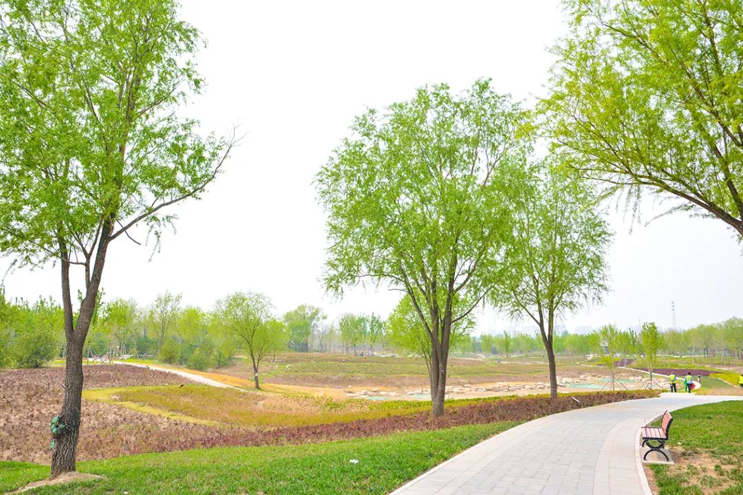 春意盎然北京五大公园,北京区级综合性公园