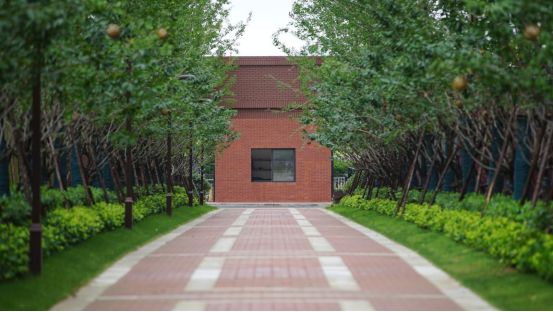 三进合肥“100亿俱乐部”，旭辉把百亿养成了习惯