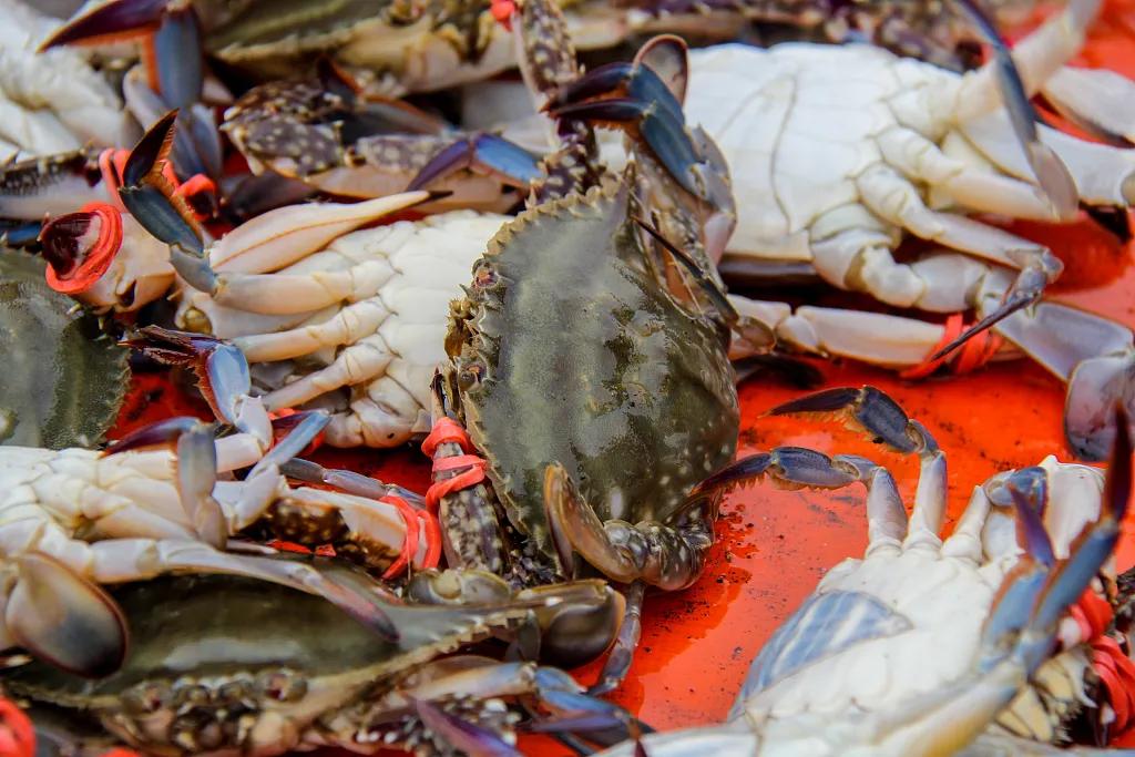 这就是天津话,这就是天津卫原版