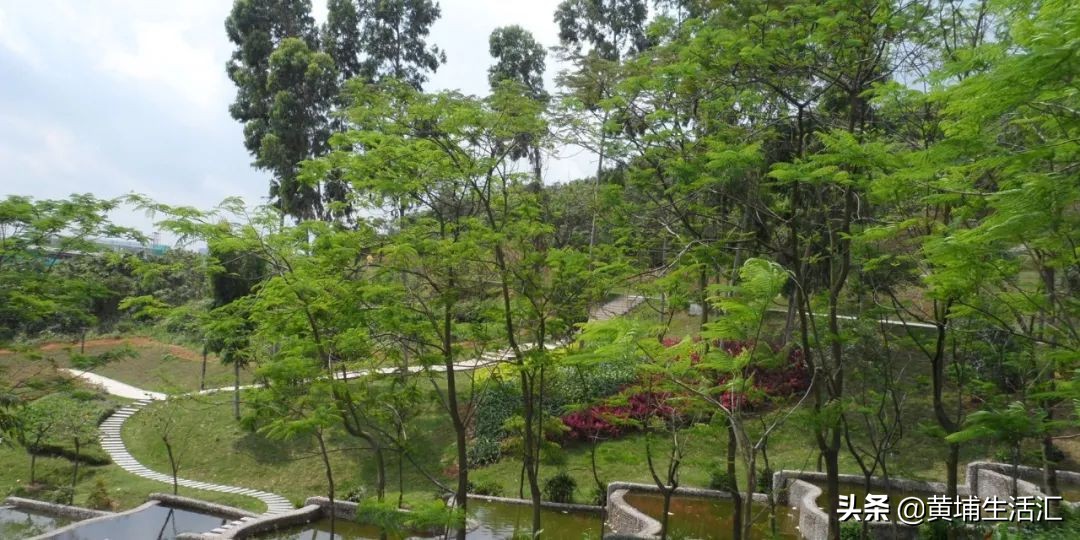 万科里享家:大牌刚需却遭遇质量滑铁卢?